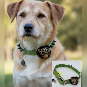 CUSTOMIZED Dog Collar Wild Thing Cub Green with Bling and Black Spikes